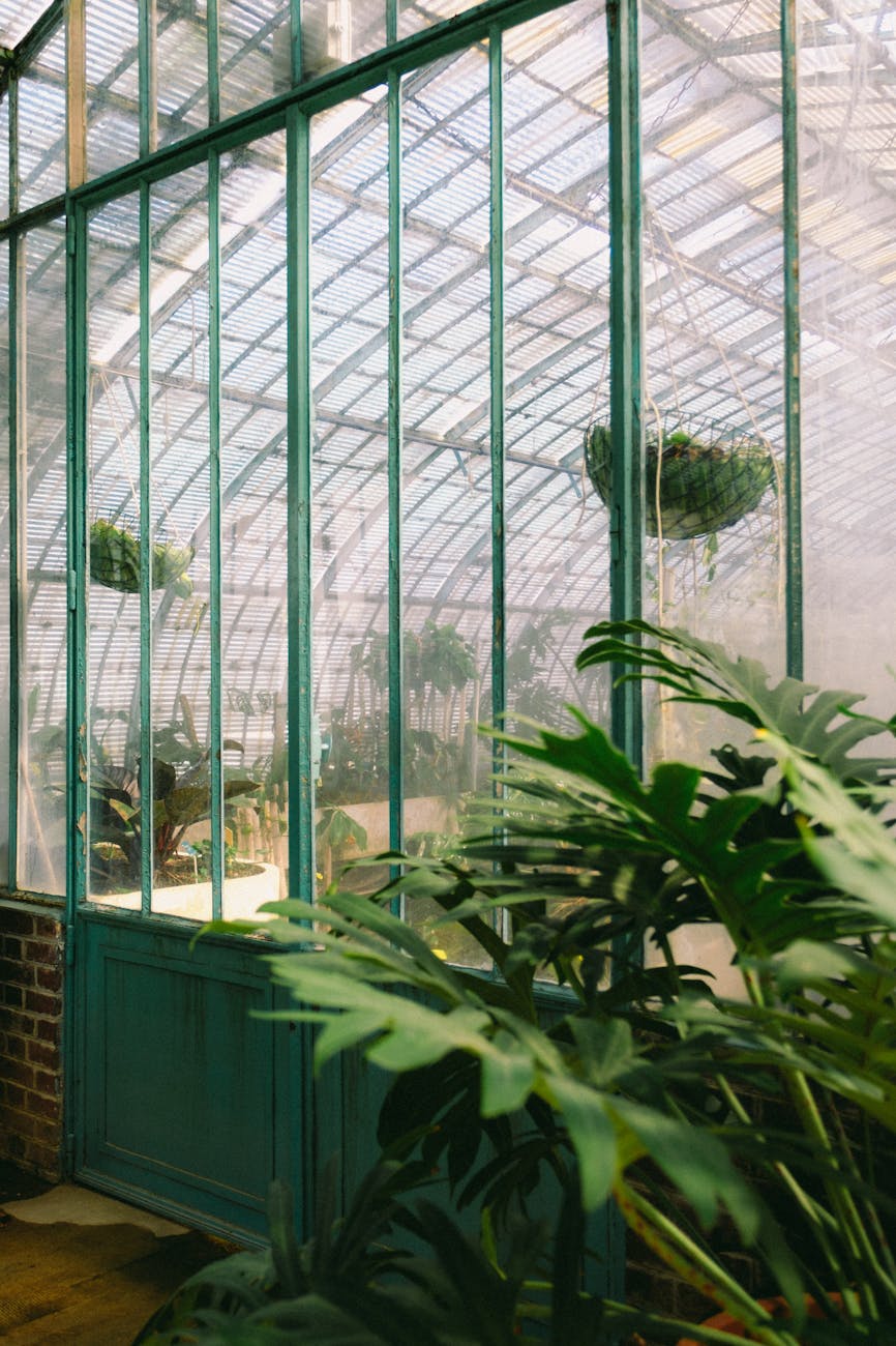 leaves near entrance to greenhouse