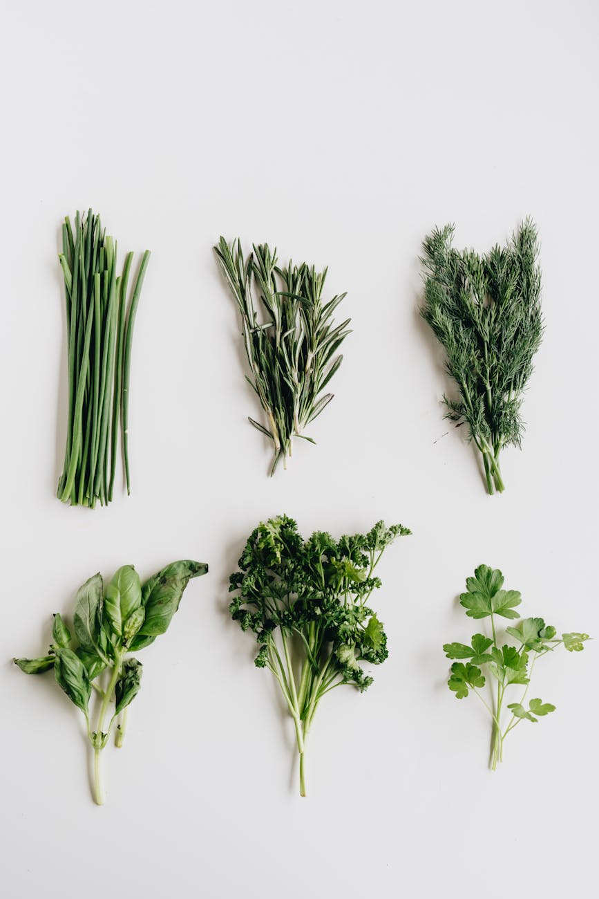 photo of assorted herbs
