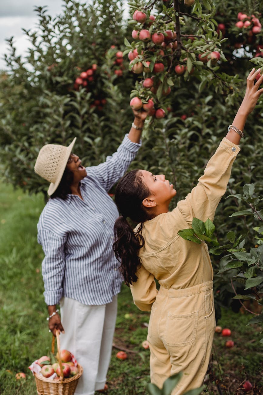people picking apples